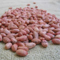 Hot Sale Jumbo Peanut Kernels From China